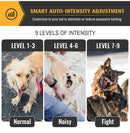 Collar Anti Ladrido Ajustable Para Perros