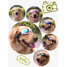 Gafas De Sol Ajustables Para Perro
