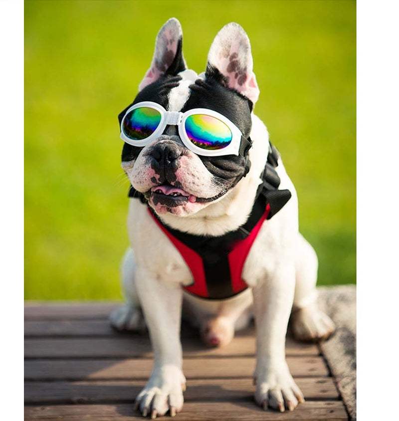 Gafas De Sol Ajustables Para Perro