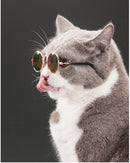 Gafas De Sol Para Gatos Y Perros Pequeños Fashion Disfraz