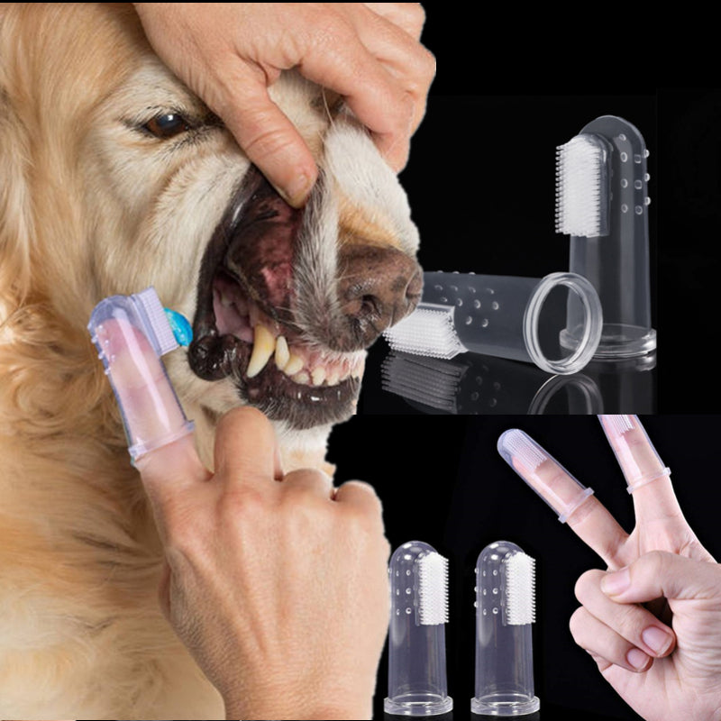 Cepillo De Dientes Súper Suave Para Mascotas Con Estuche Transparente