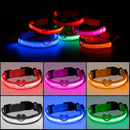 Collar Con Luz LED Para Mascotas