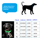 Collar Con Luz LED Para Mascotas