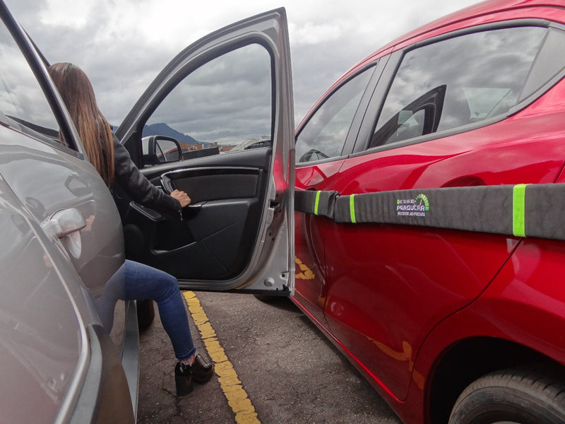 Protector Antiportazos Magnético Tamaño STANDARD - AMBOS LADOS DEL CARRO