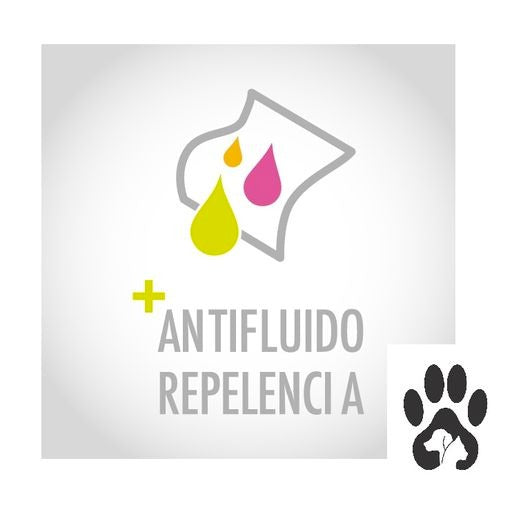 Cono De Recuperación Perros Y Gatos Collar Isabelino Gris/ Universo
