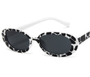 Gafas De Moda Retro Ovaladas Tendencia Casuales Fashion