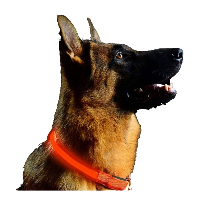 Collar Luz Led Reflectivo Perro Gato Mascotas 3 Efectos Rojo