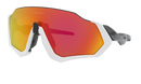 Gafas Oakley FlightJacket (Diferentes Colores) (Set Completo)