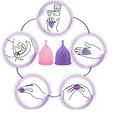 Copa Menstrual Reutilizable Rosada Tallas Diferentes