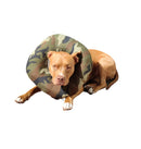 Collar Isabelino Para Recuperación Cirugia Perro O Gato Camuflado