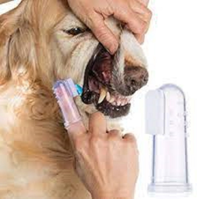 Cepillo De Dientes Súper Suave Para Mascotas Con Estuche Transparente